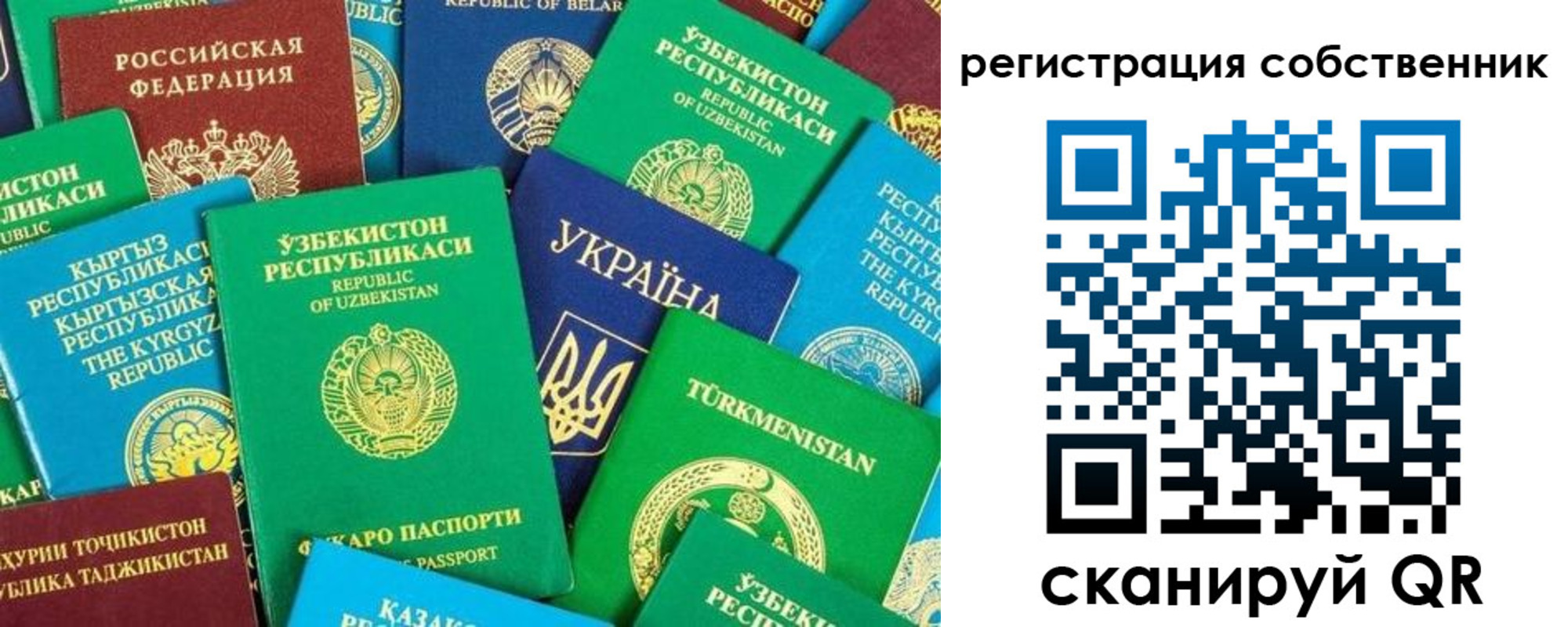 прописка в Бавлах